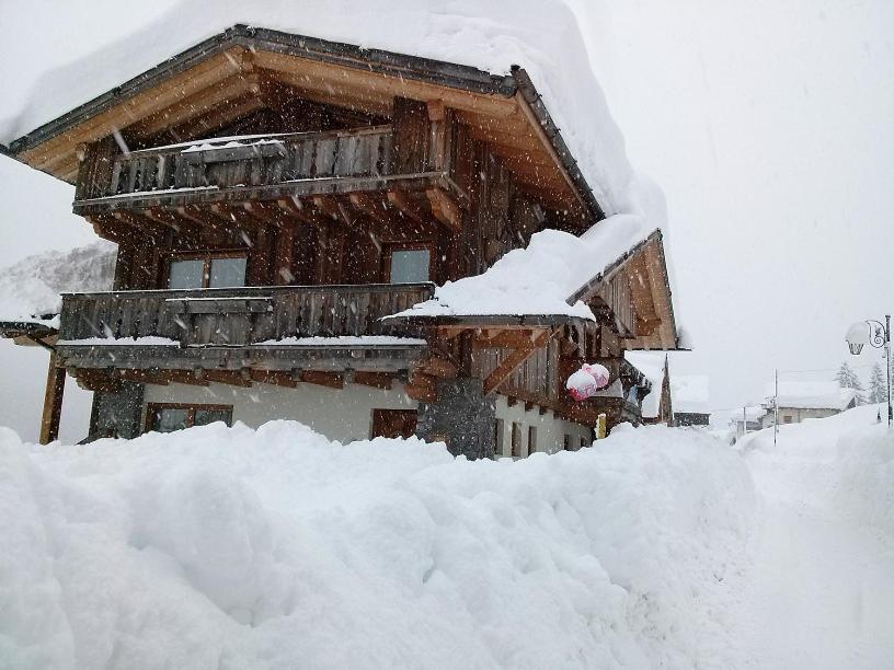Kratter Alpenplick Lejlighed Sappada Eksteriør billede